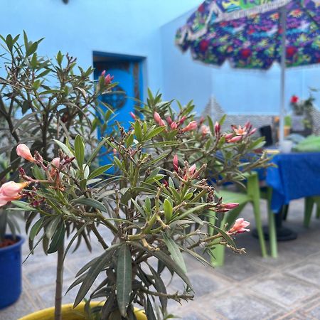 Casa Morisca Villa Sidi Ifni Dış mekan fotoğraf