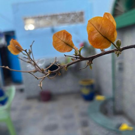 Casa Morisca Villa Sidi Ifni Dış mekan fotoğraf