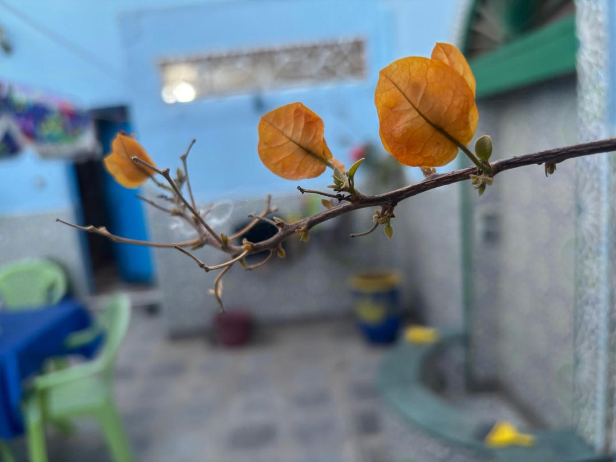 Casa Morisca Villa Sidi Ifni Dış mekan fotoğraf