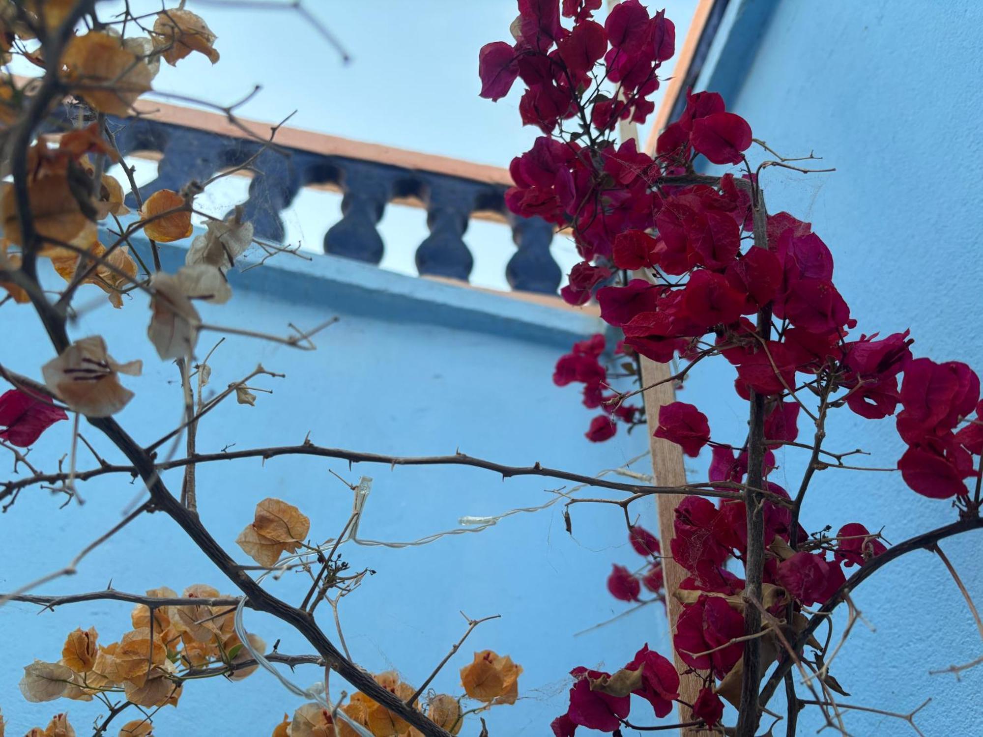 Casa Morisca Villa Sidi Ifni Dış mekan fotoğraf